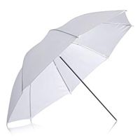 ホワイトルーセント傘