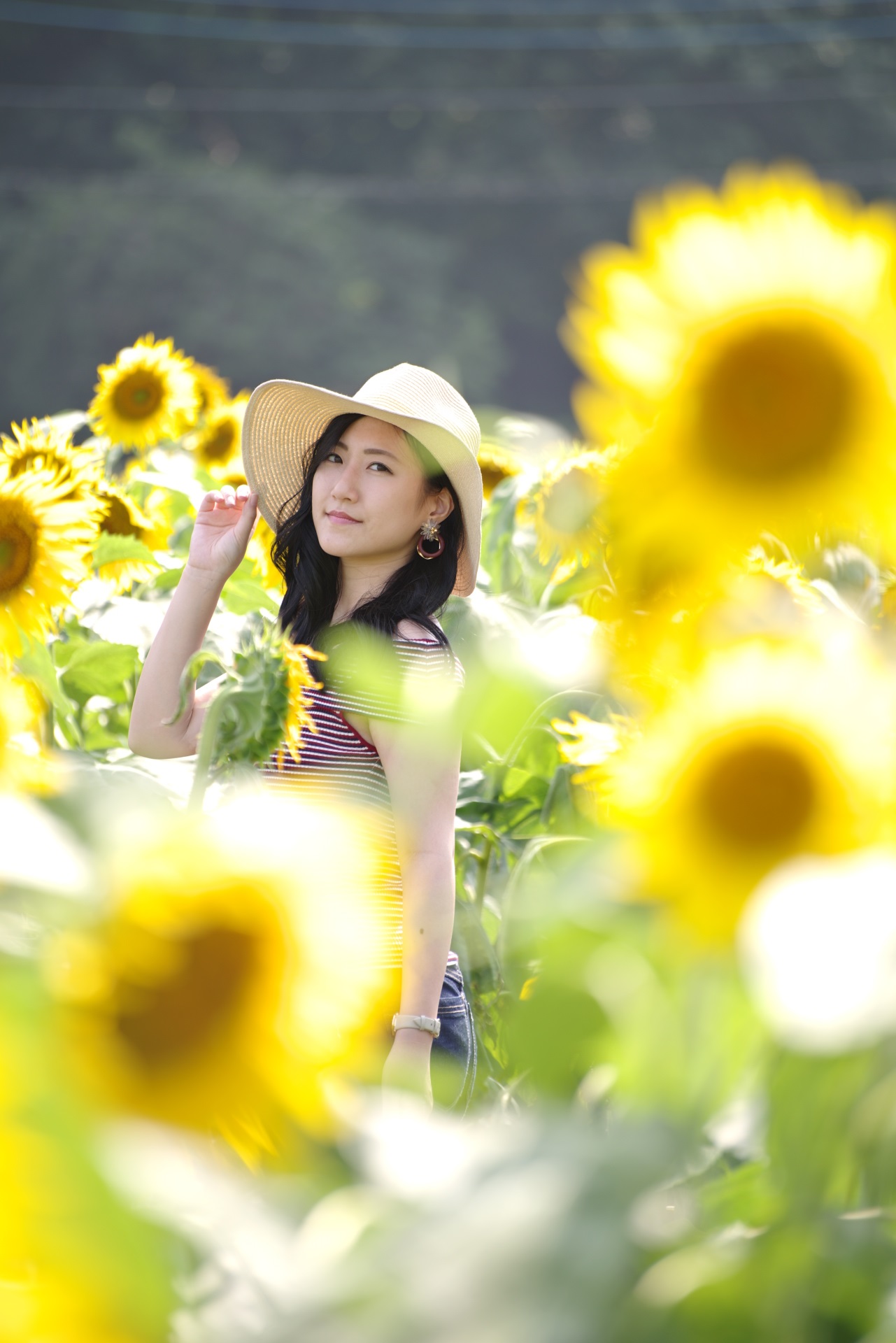 7/28　片瀬あゆみさん　ひまわり撮影
