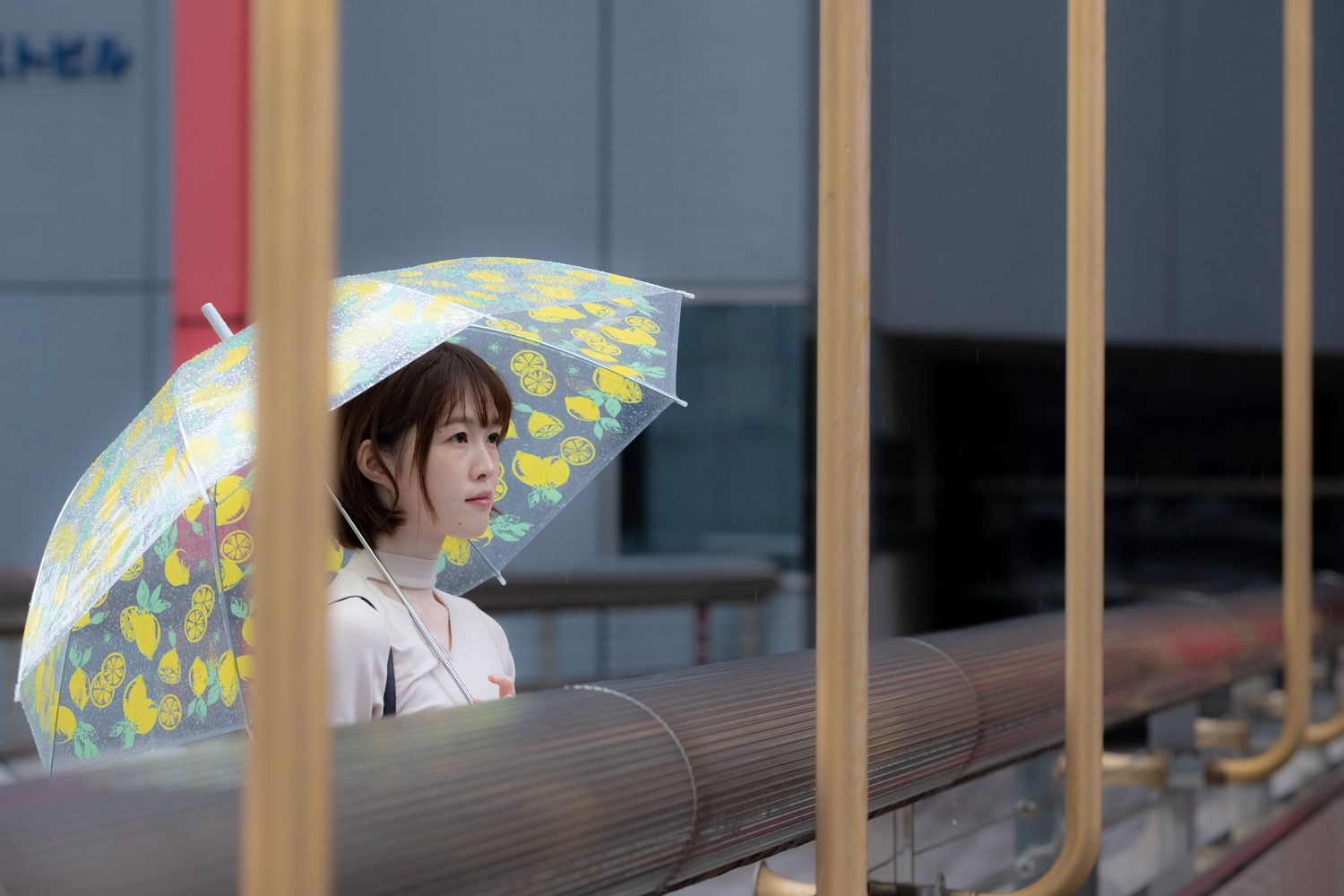 すいさん#1