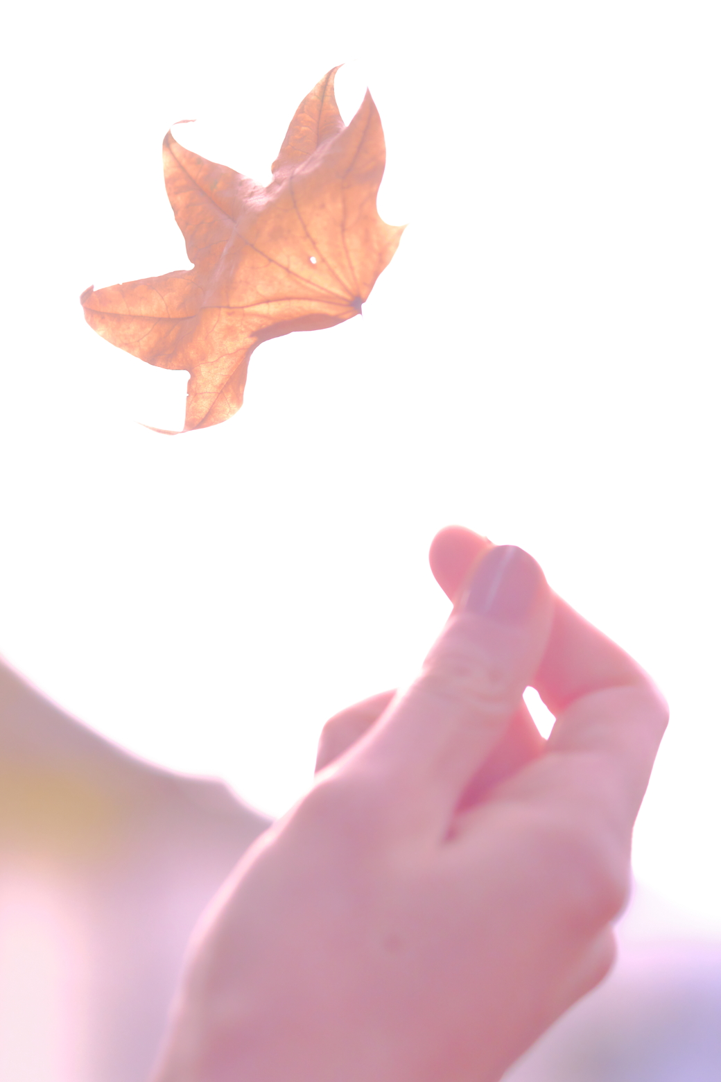 すいさん#7