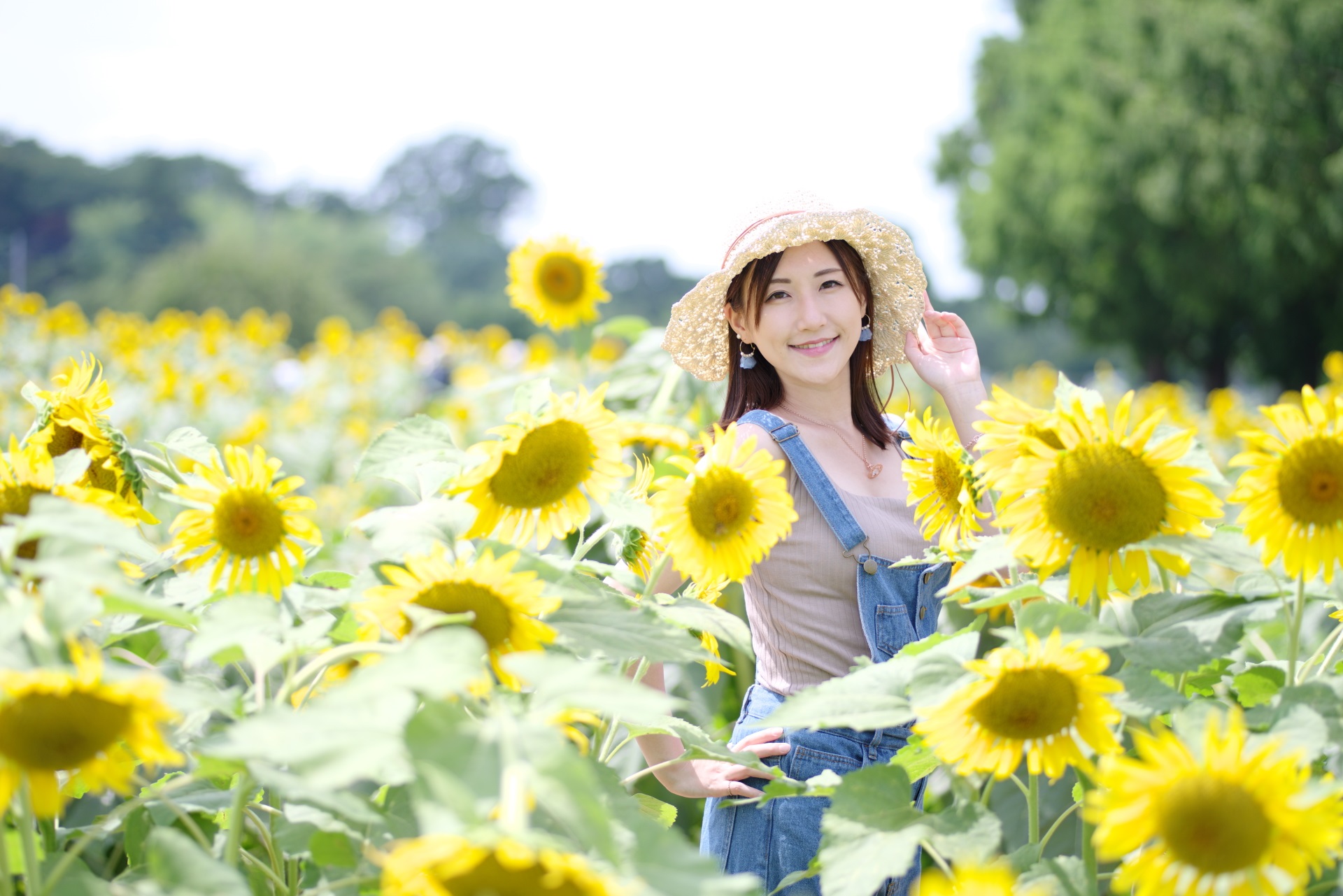 7/23　片瀬あゆみさん　ヒマワリ撮影