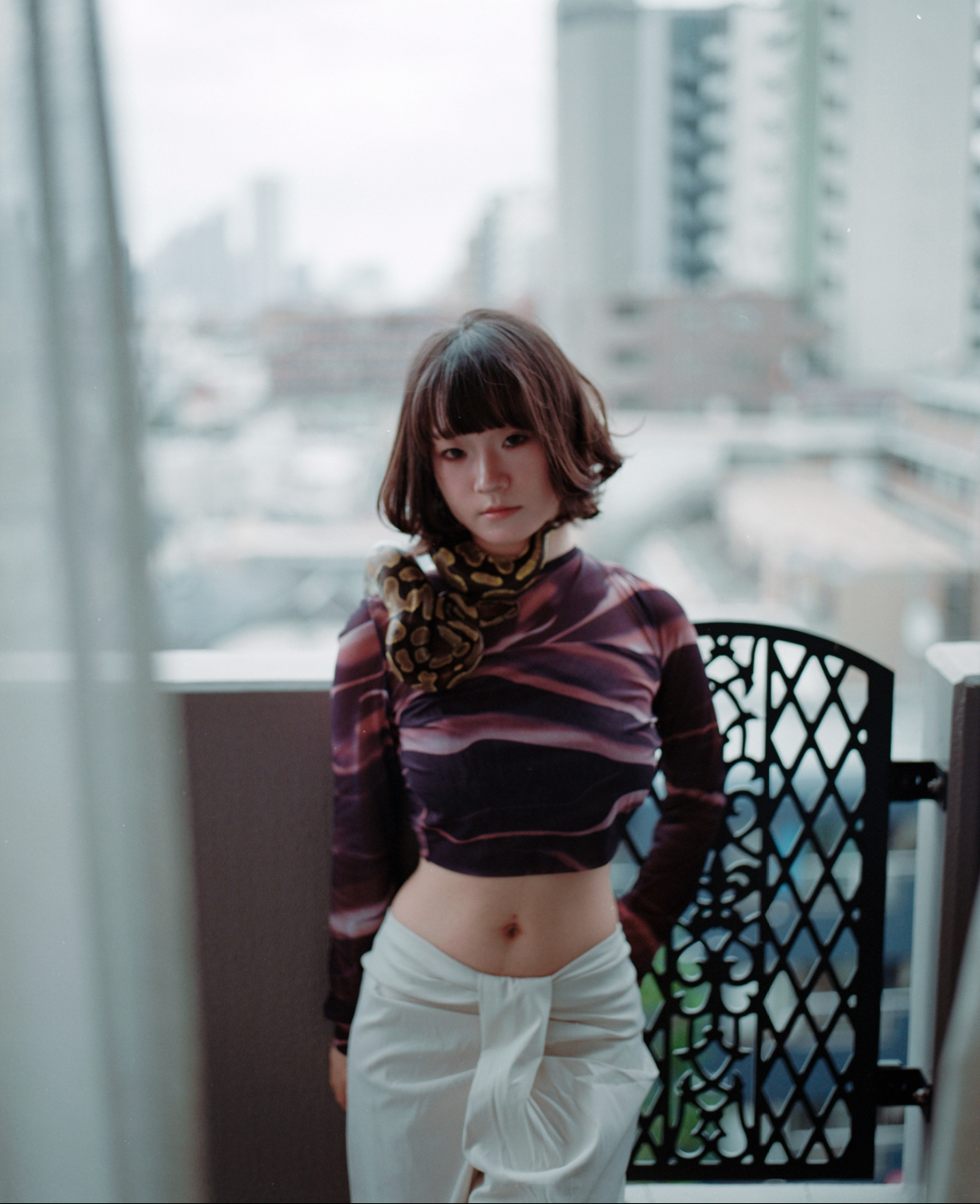 紫シアートップス