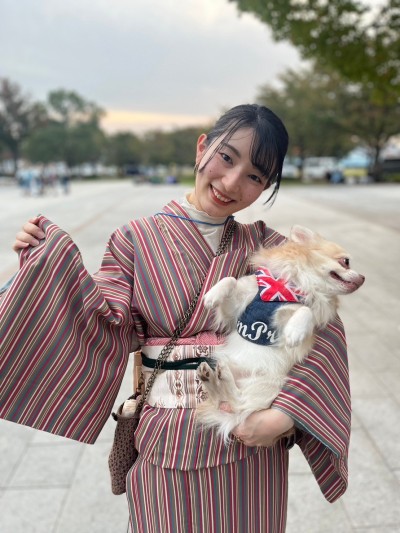 着物 ストライプ